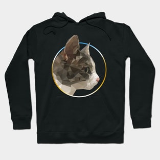 My Cat First Hoodie